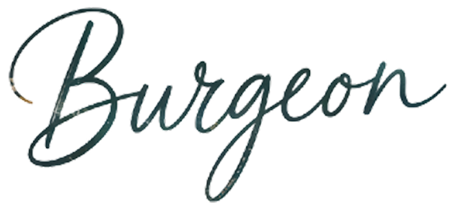 Director's Signature